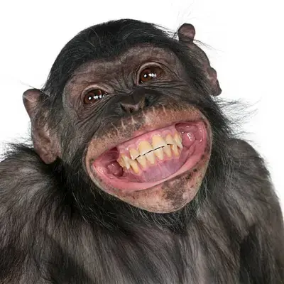 avatars_2026_09_1132b13e-e597-4b55-8ad4-6c6517441fef.webp